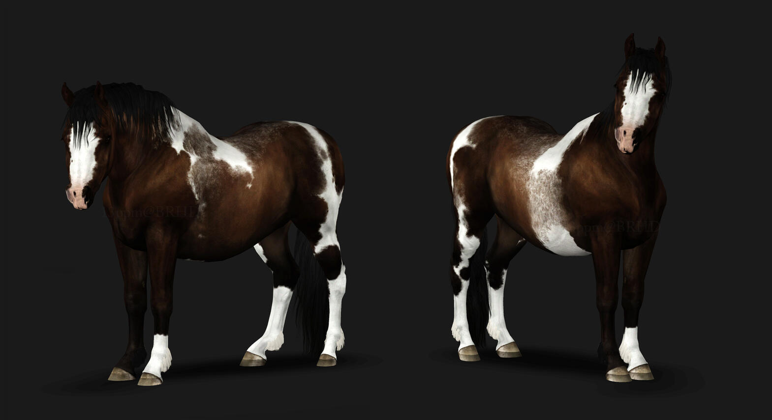 Studio: Three-Quarter