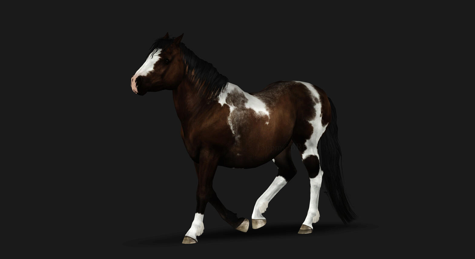 Studio: Side L Studio: Side L